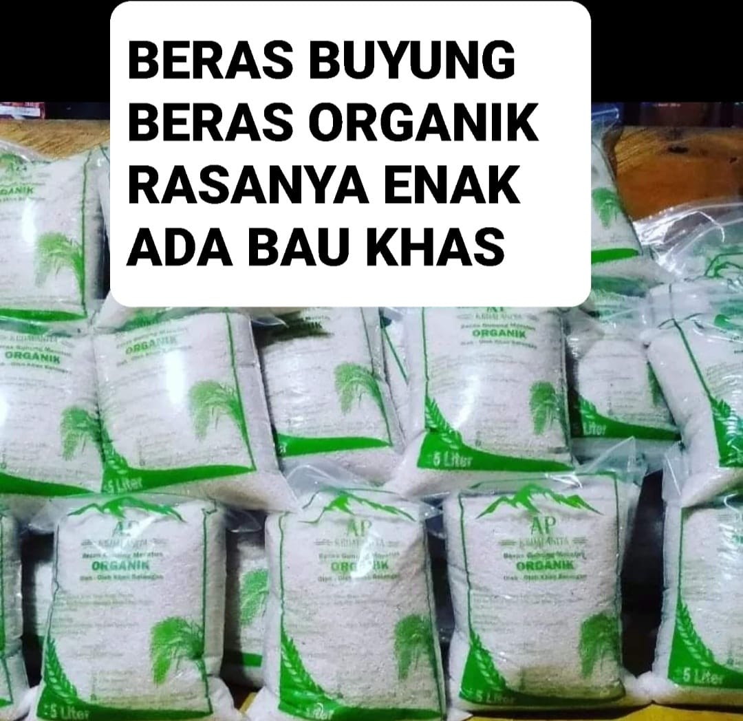 Beras Gunung Buyung Organik