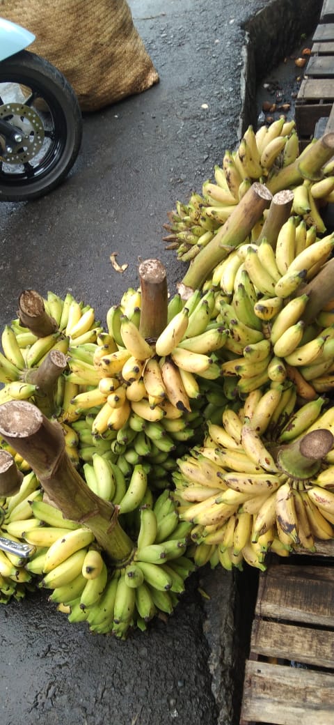 Pisang Mahuli/Raja Uli