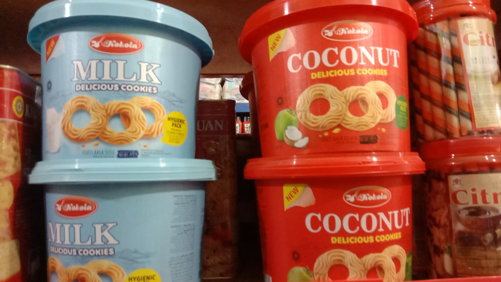 Biskuit kaleng coconut