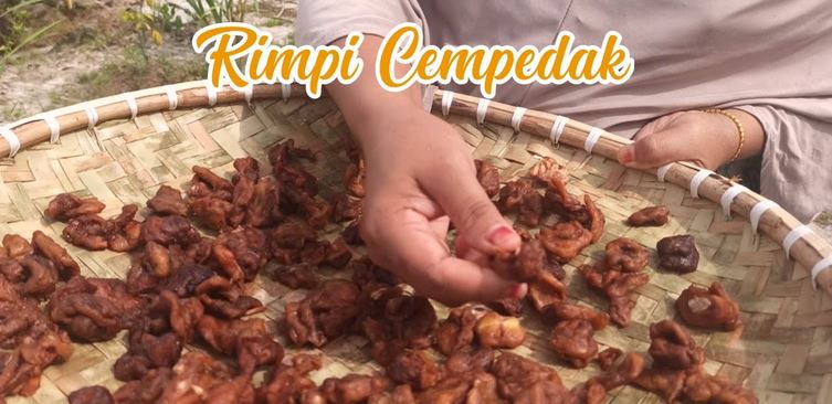 RIMPI CEMPEDAK