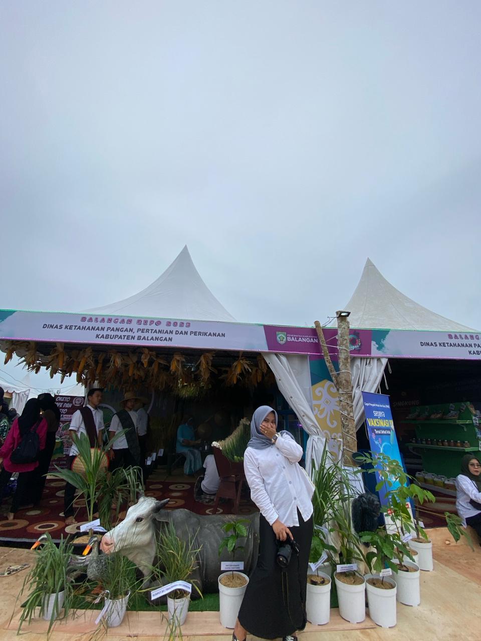 DEKORASI PAMERAN