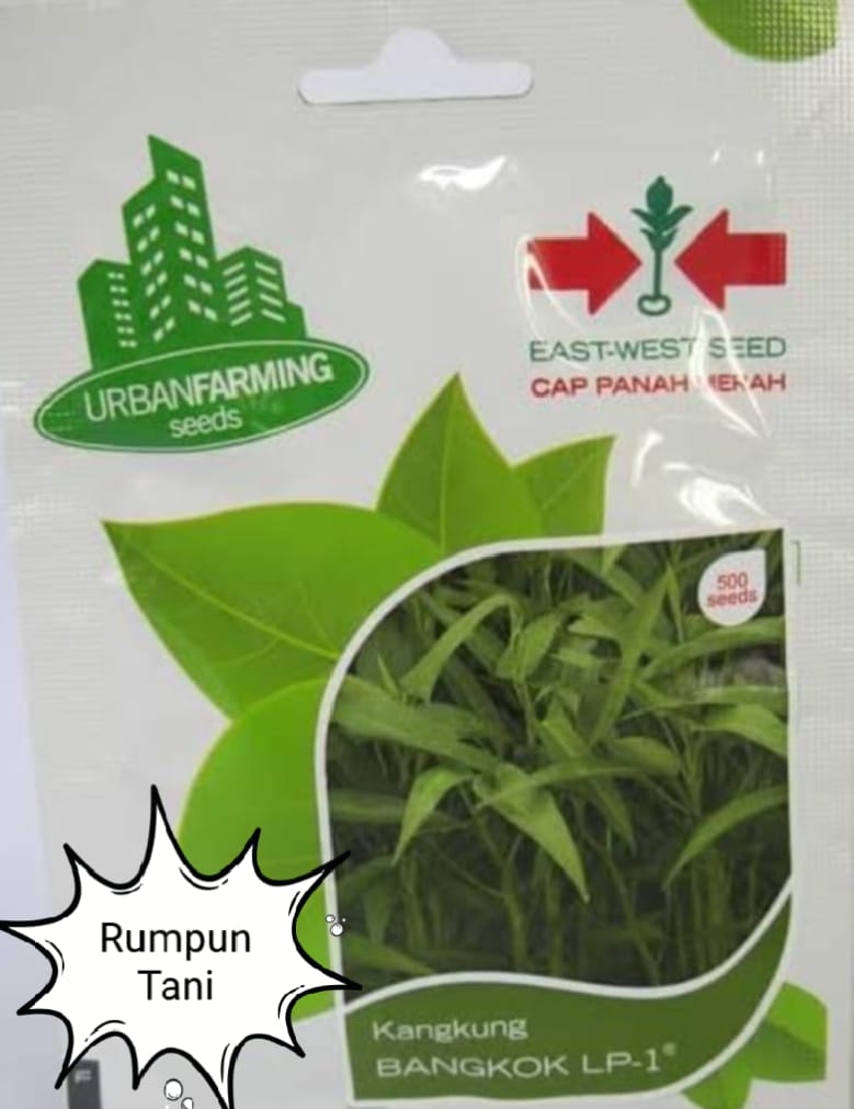 Benih Kangkung 50 gram Bangkok LP-1 Cap Panah Merah Smallpot