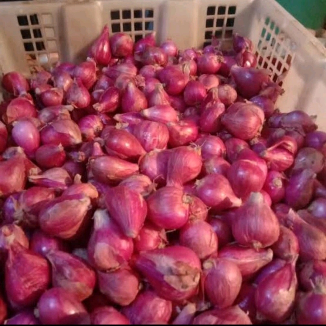 Bawang Merah