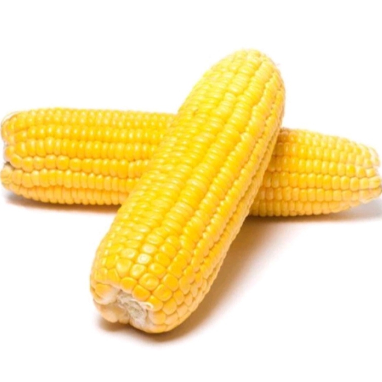 Jagung