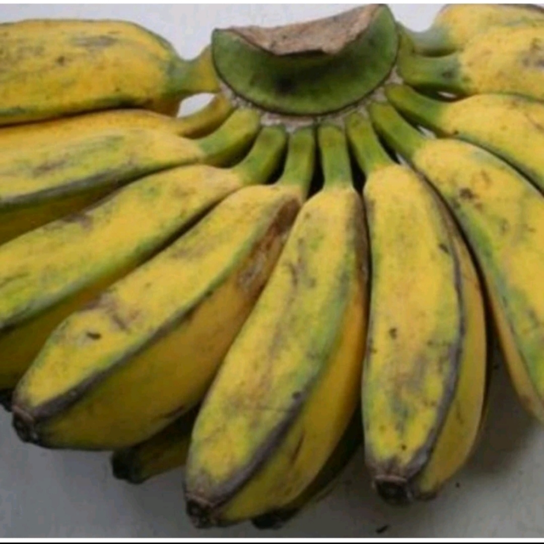 Buah Pisang Manurun