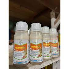 obat pembersih rumput