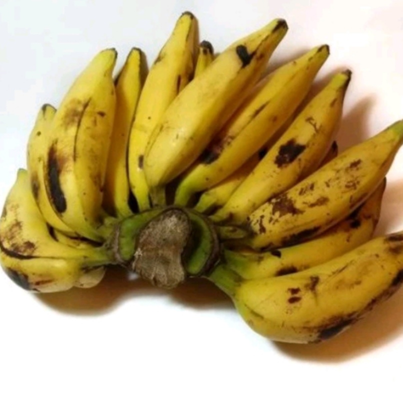 Buah Pisang Talas