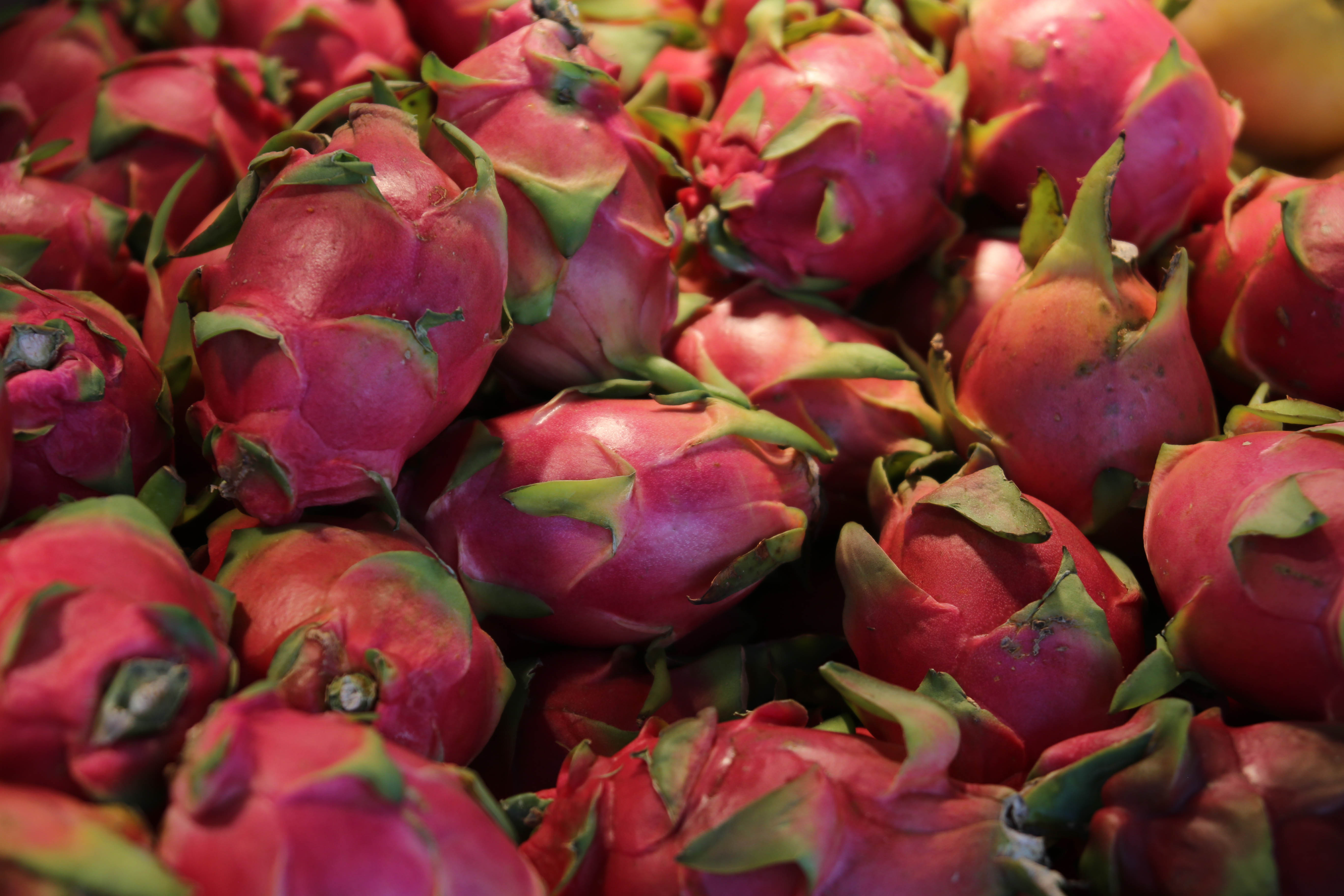 BUAH NAGA