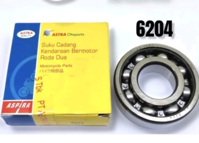 Bearing skf 6204