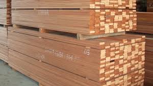 kayu kasau 5x7 / per batang 