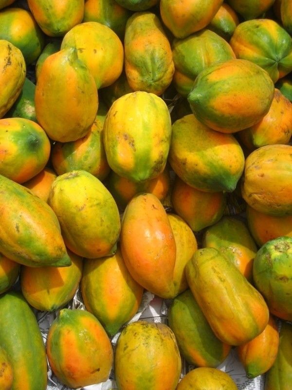 Buah Pepaya