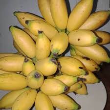 PISANG