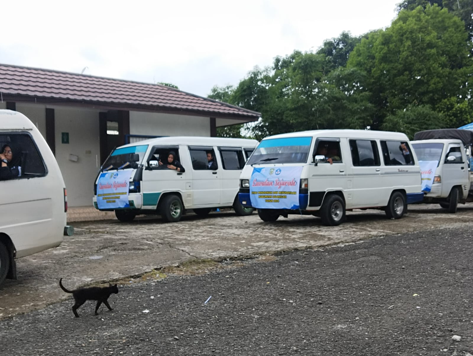 Sewa Mini bus