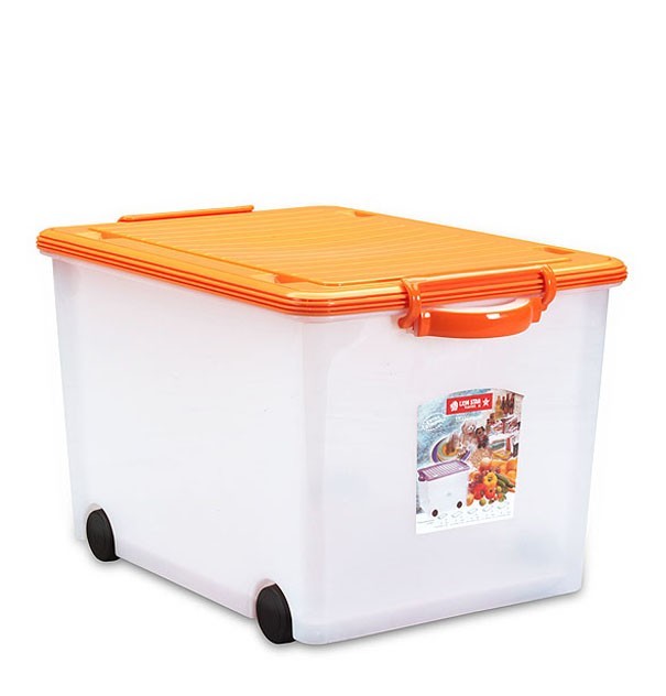 Vigo Container 50 Liter VC-4 Lion Star Box Serbaguna