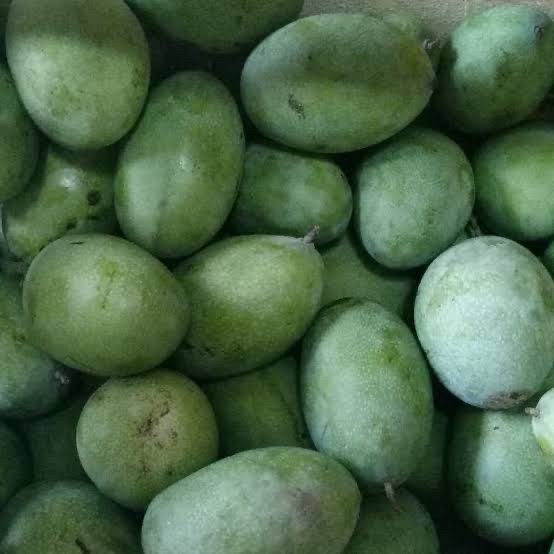 Mangga 