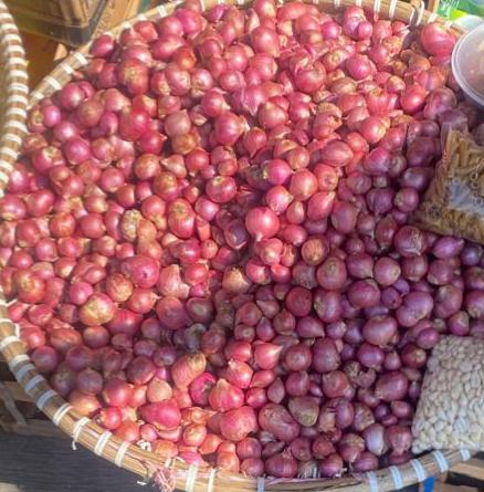 Bawang Merah