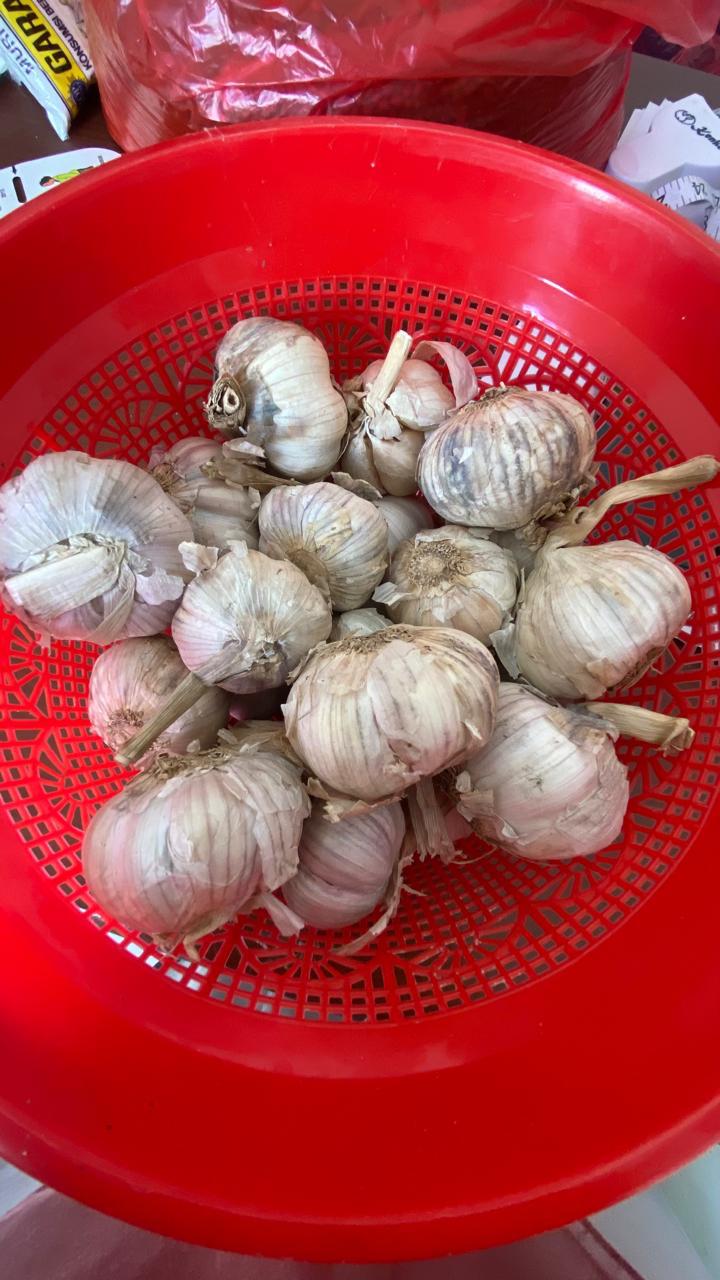 Bawang Putih
