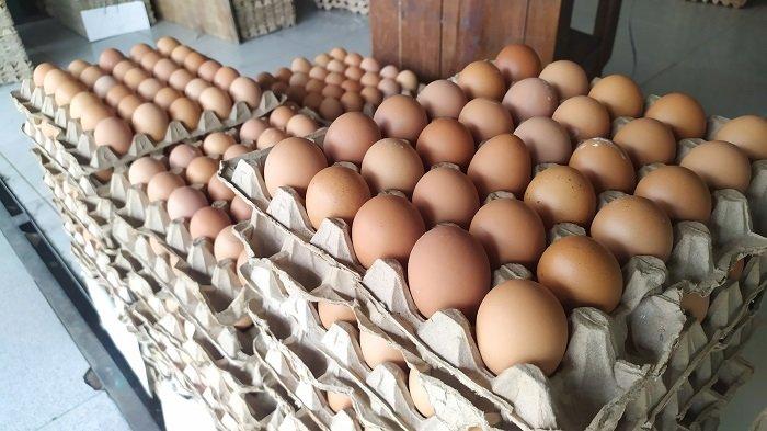 Telur Ayam Kiloan