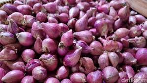 Bawang Merah 