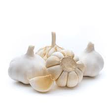 Bawang Putih 