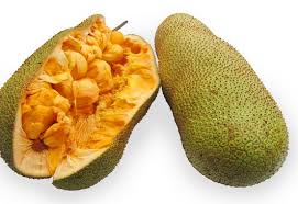 buah cempedak