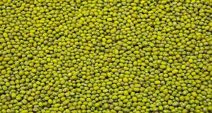 Kacang Hijau