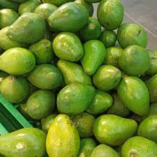 Buah Alpukat