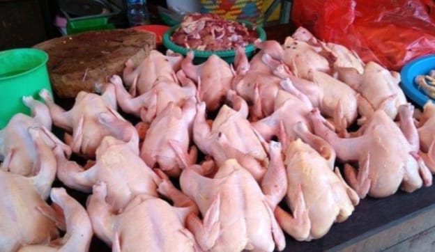 AYAM 