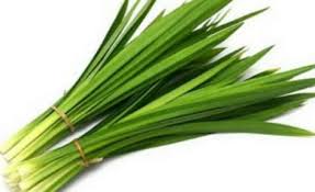DAUN PANDAN