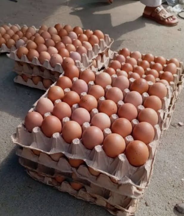 TELOR AYAM