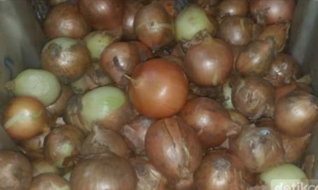 BAWANG BOMBAY