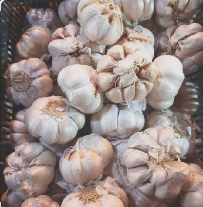 BAWANG PUTIH