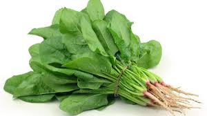 Sayur Bayam 