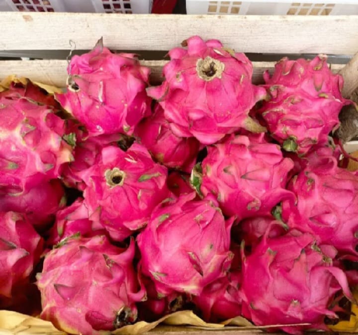 BUAH NAGA