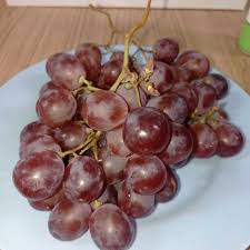 buah anggur