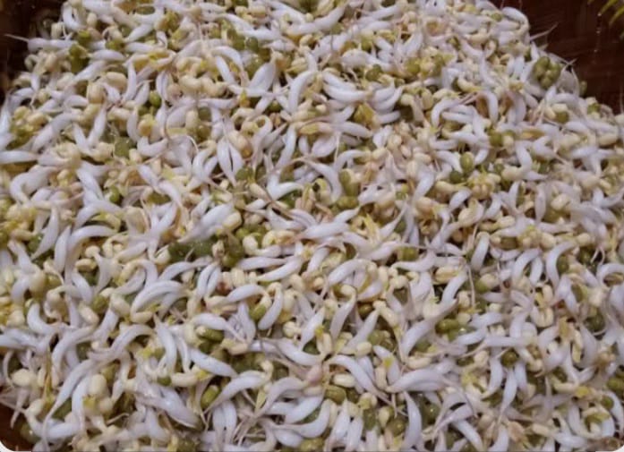 KECAMBAH