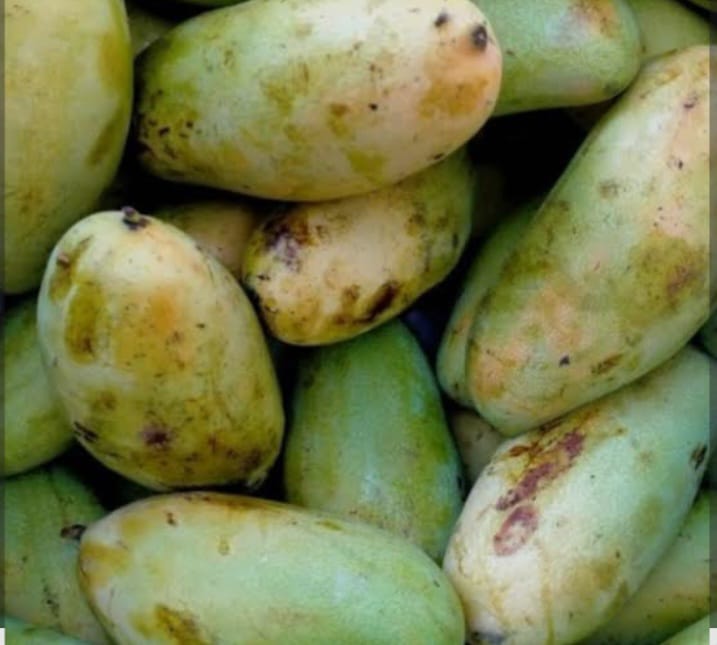 MANGGA