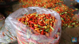 Cabe Rawit 