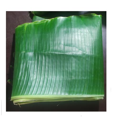 DAUN PISANG