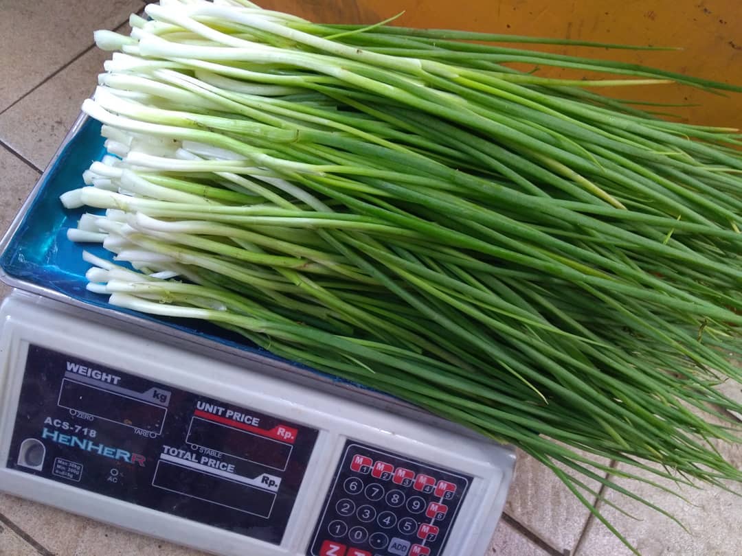 DAUN BAWANG