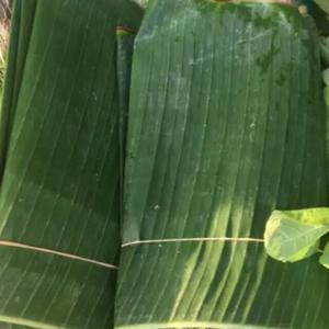DAUN PISANG