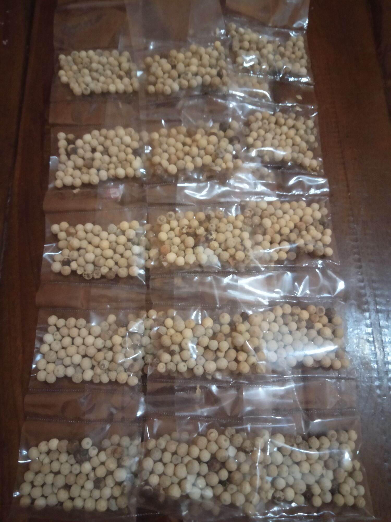 LADA / MERICA BUBUK DAN BIJI