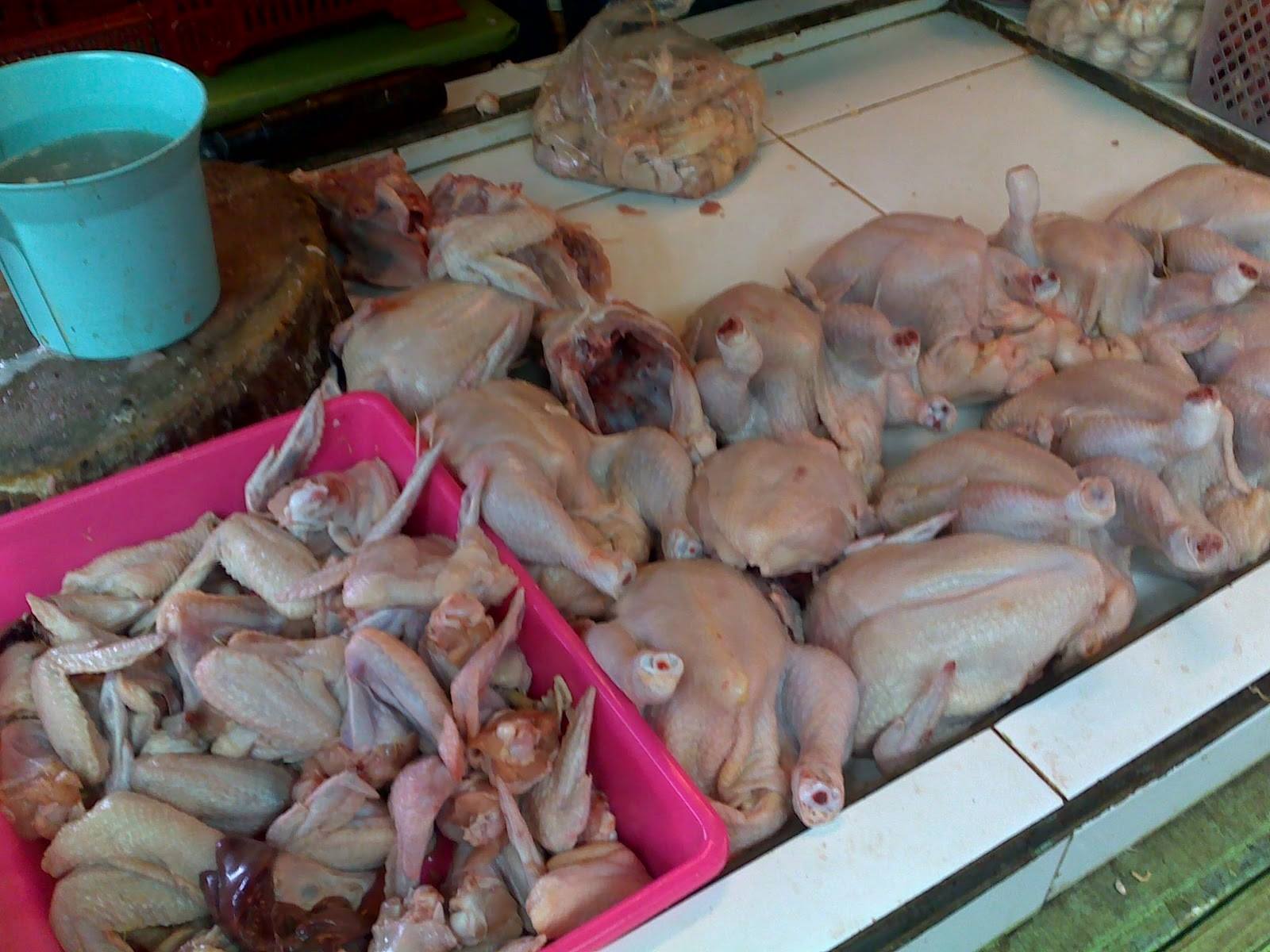 AYAM