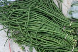 KACANG PANJANG