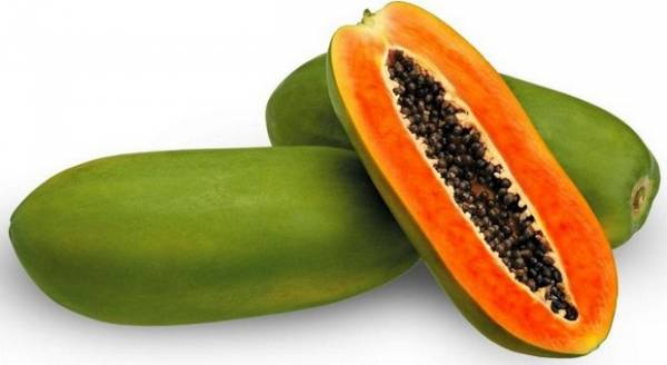 PEPAYA