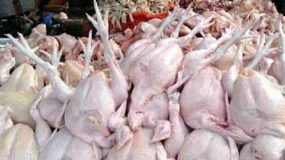 AYAM