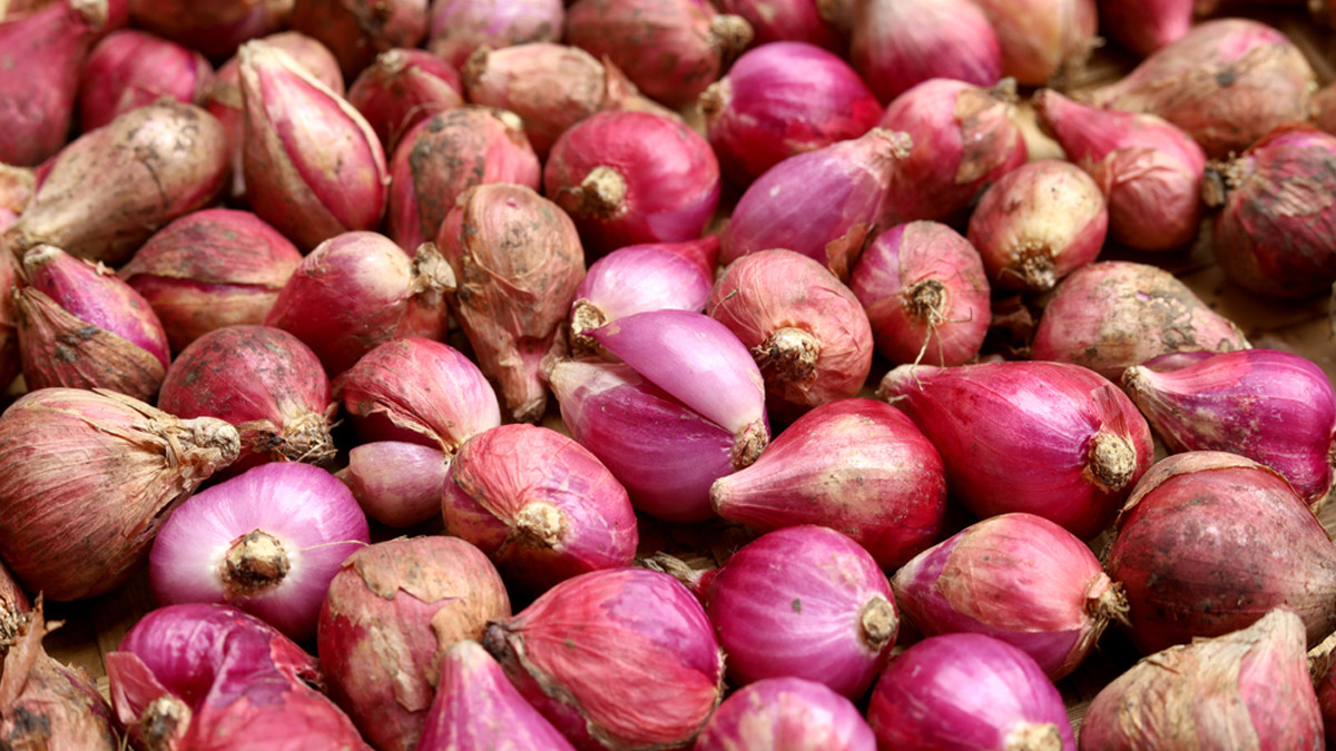 BAWANG MERAH 100 GRAM