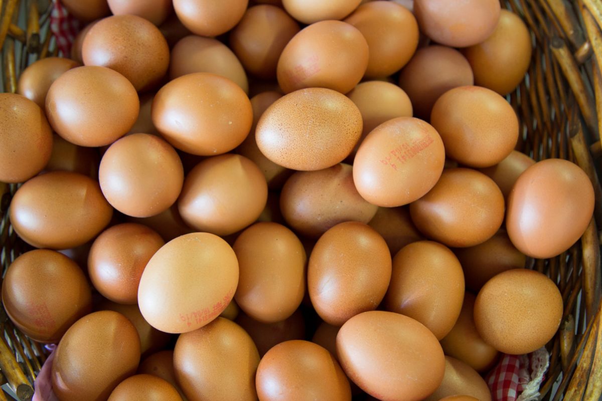 TELUR AYAM 1 KG