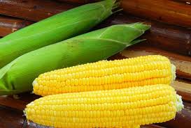JAGUNG
