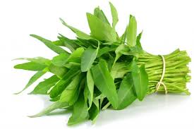 KANGKUNG